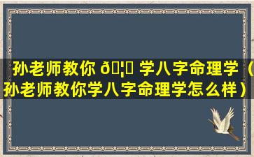 孙老师教你 🦊 学八字命理学（孙老师教你学八字命理学怎么样）